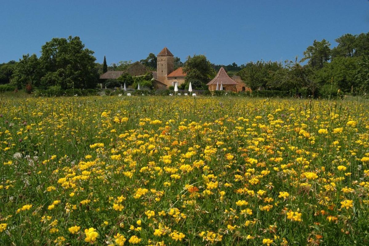 Gites Du Boussagou Marminiac 外观 照片