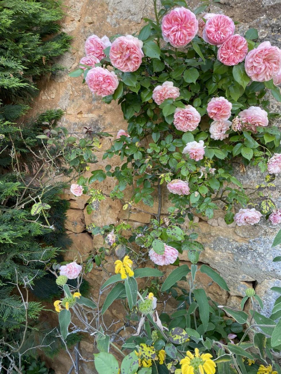 Gites Du Boussagou Marminiac 外观 照片